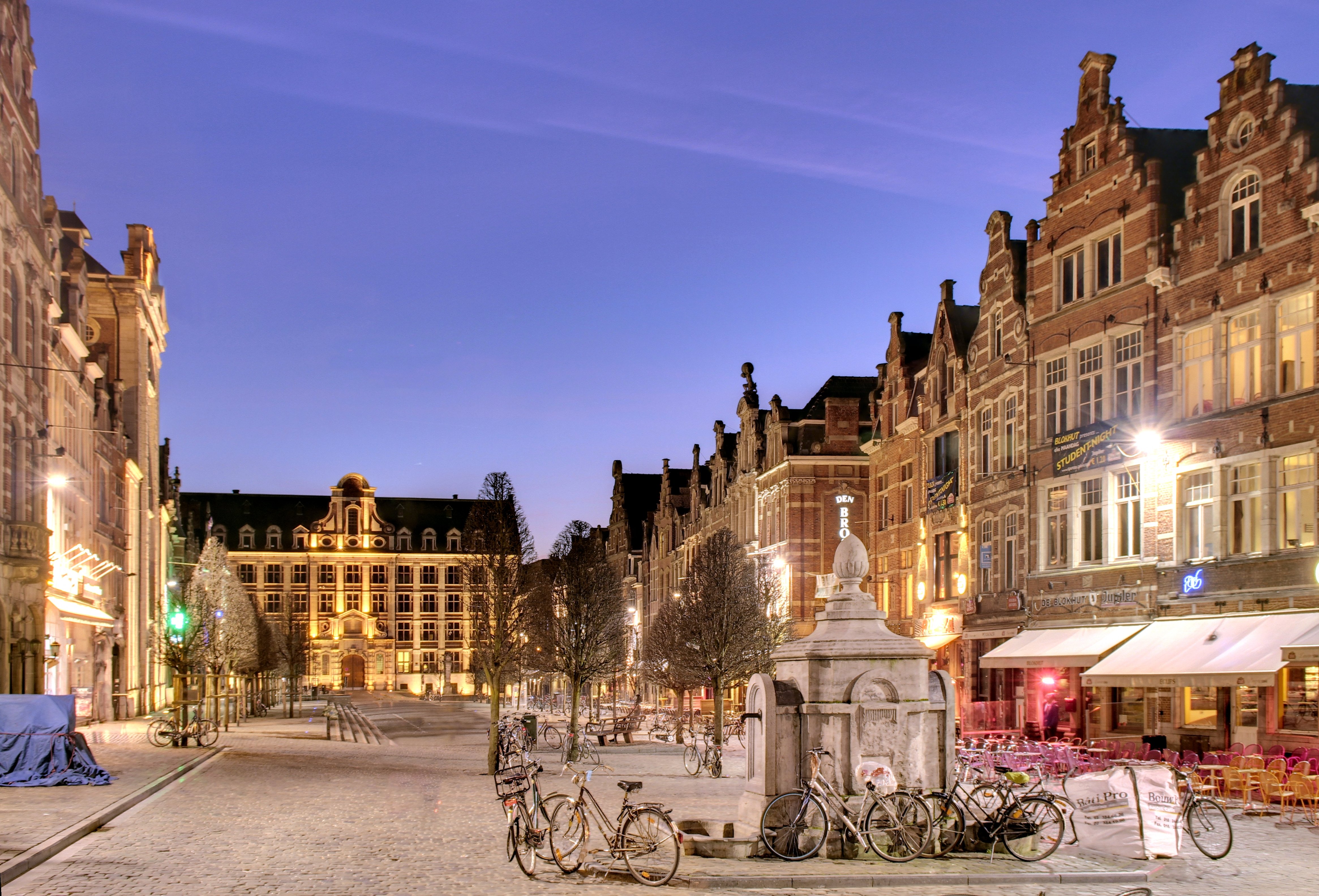 Old_market_Leuven_-_panoramio[1]